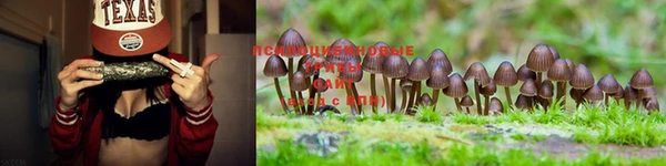 гашишное масло Нея